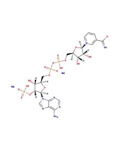 Astatech TRIPHOSPHOPYRIDINE NUCLEOTIDE DISODIUM SALT; 1G; Purity 95%; MDL-MFCD00065390